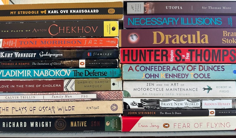 BUILD YOUR OWN LOT : Subversive Books/Cult Novels/Classic Lit : Bundle & Save! gallery