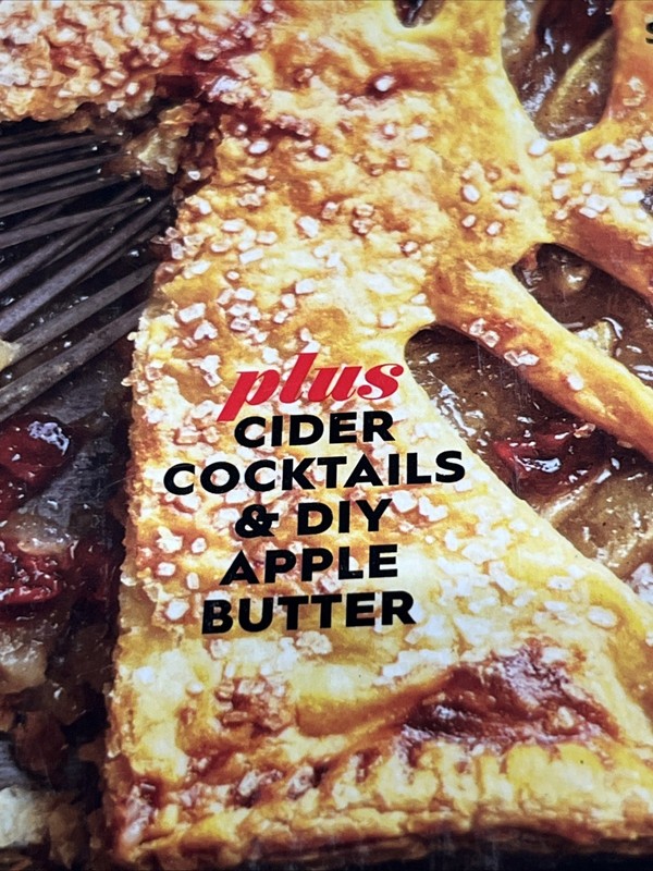 BH&G 100 Best Apple Recipes 96 Pages Of Apple Recipes gallery