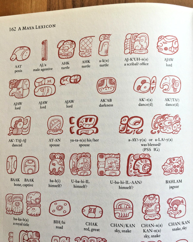 Reading the Maya Glyphs ~ Michael Coe & Mark Van Stone ~ 2001 - HC DJ 1st Ed.! gallery