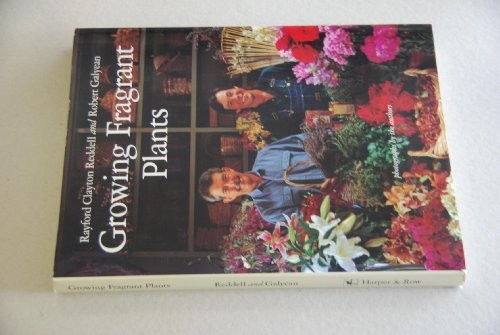 Growing Fragrant Plants – ACCEPTABLE