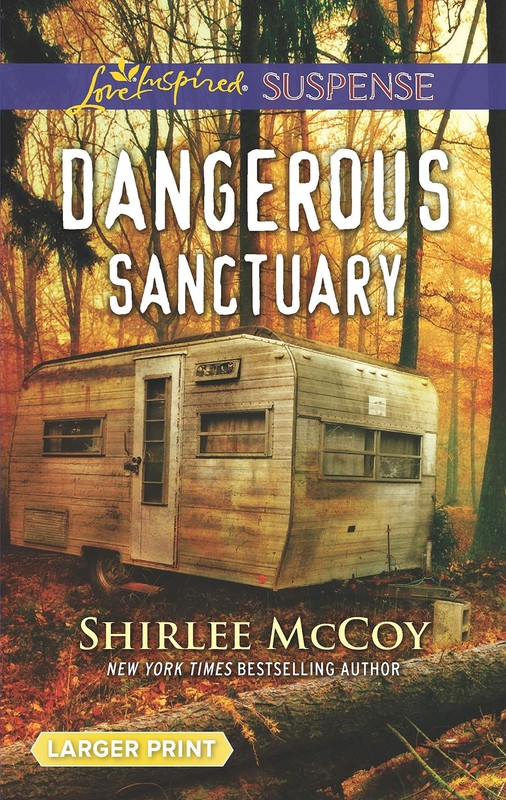 Dangerous Sanctuary (FBI: Special Crimes Unit, 3) – mass market paperback Mc…