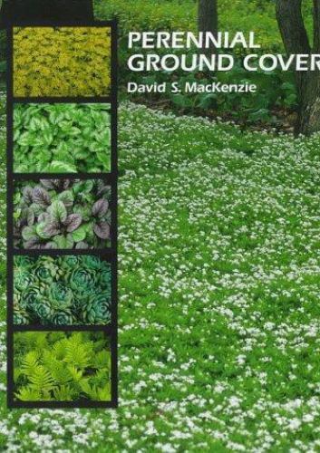 Perennial Ground Covers by