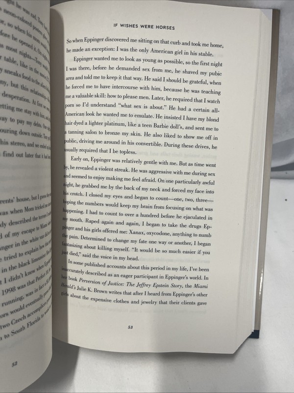 Nobody's Girl : A Memoir of Surviving Abuse and Fighting for Justice by Virginia gallery