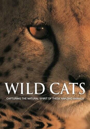 Wild Cats: Capturing the Natural Spirit of These Amazing Animals – VERY GOOD