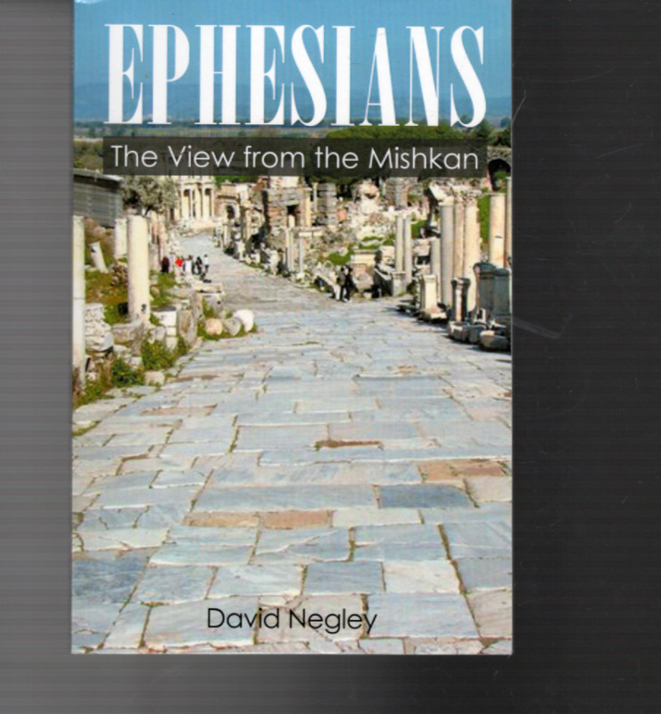 Ephesians : The View from the Mishkan by David Negley (2014, Trade Paperback)