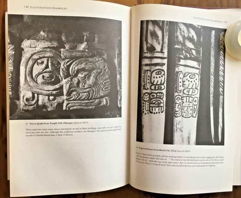 Reading the Maya Glyphs ~ Michael Coe & Mark Van Stone ~ 2001 - HC DJ 1st Ed.! gallery