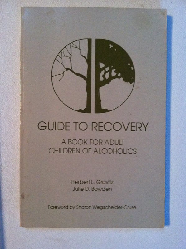 Guide to Recovery by Gravitz