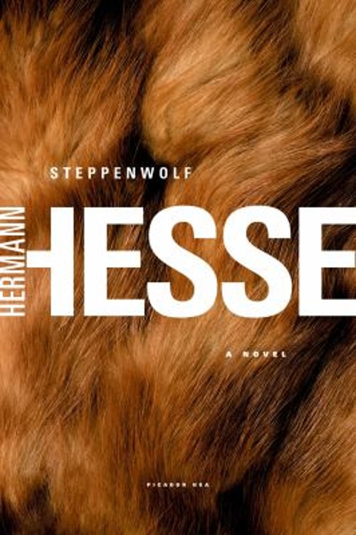 Steppenwolf : A Novel Paperback Hermann Hesse