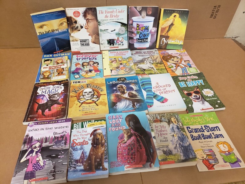 Lot of 50 Chapter INSTANT LIBRARY Children Young Adult RANDOM UNSORTED BOOKS MIX gallery