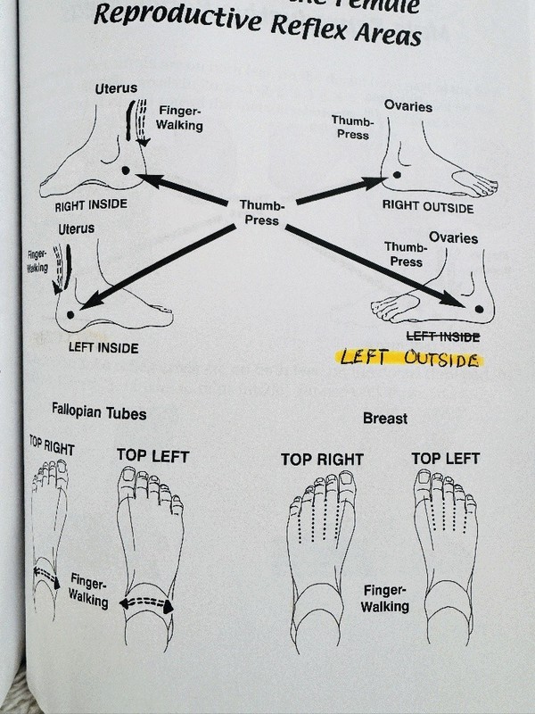 Master The Healing Art of Foot Reflexology Massage Susan Watson Study Workbook gallery