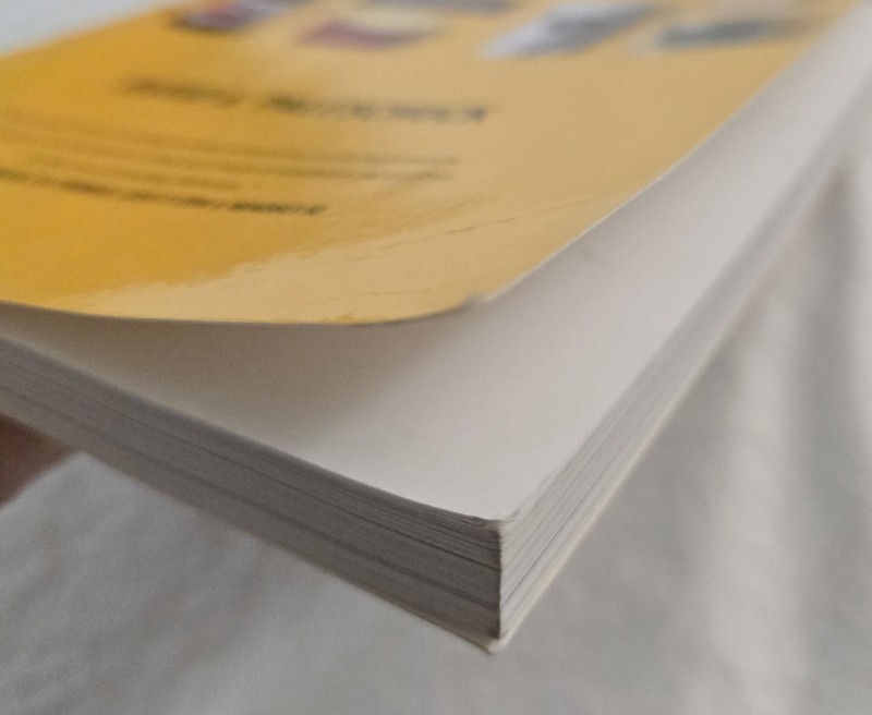 Branding Bud: The Commercialization of Cannabis - paperback Paleschuck, Davi... gallery
