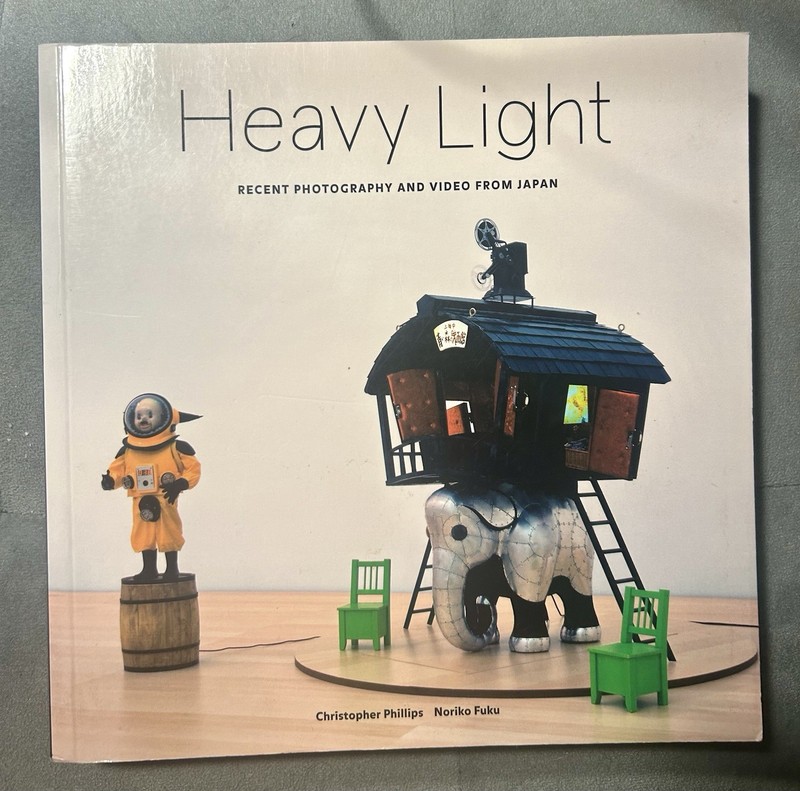 Heavy Light : Recent Photography and Video from Japan by Linda Nochlin (2008,…