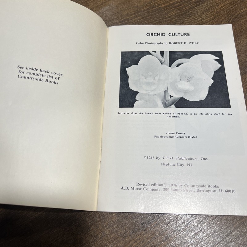(Lot 2) Vintage Orchids & Begonias...in your home Booklet (Countryside Books) PB gallery
