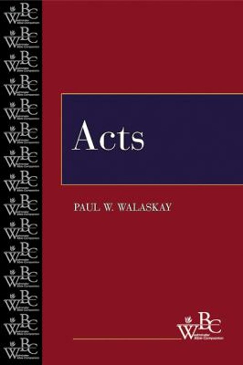 Acts Paperback Paul W. Walaskay