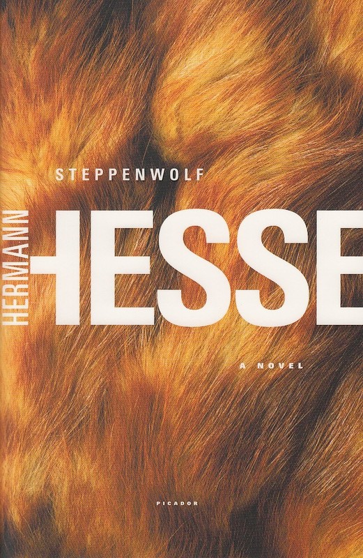 Steppenwolf: A Novel
