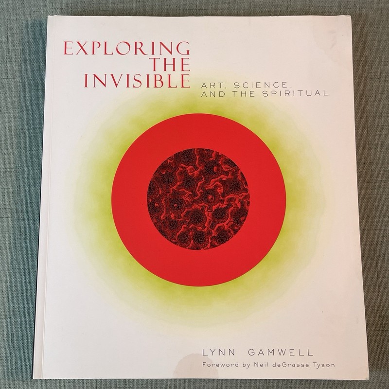 Exploring the Invisible Art, Science and the Spiritual by Lynn Gamwell Paperback