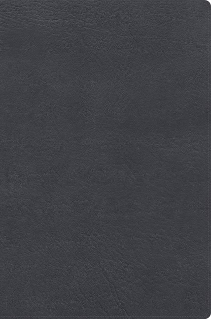 Rvr 1960 Biblia de Estudio Letra Gigante, Gris, Simil Piel Imitation Leather