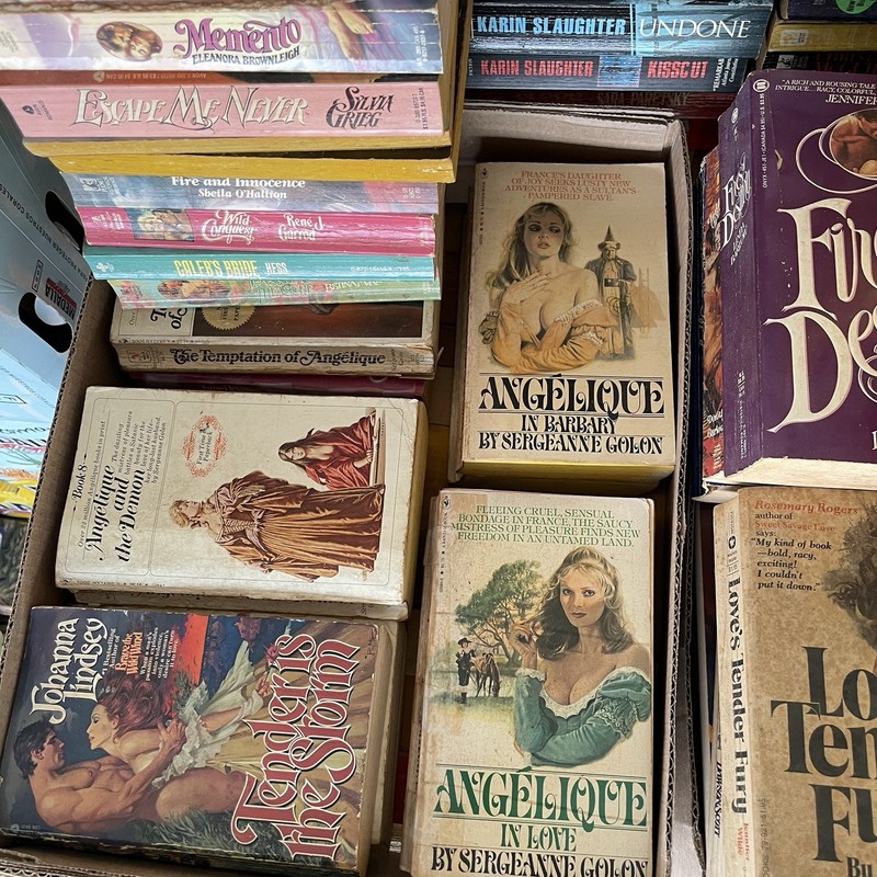 Lot 8 Random Vintage Historical Romance Books Novels gallery