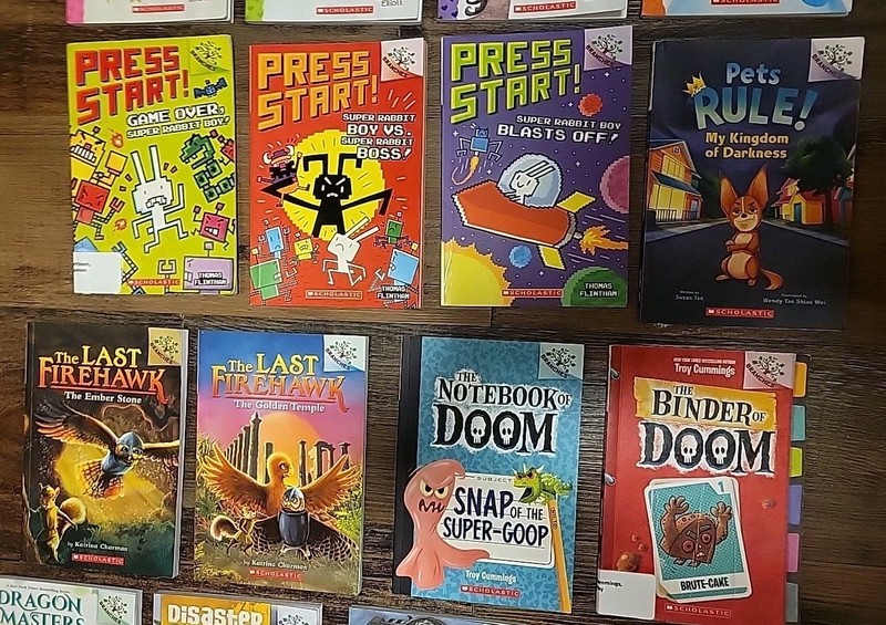 LOT 27 BRANCHES CHAPTER BOOKS: DIARY OF PUG +Owl Diaries +PRESS START HomeSchool gallery