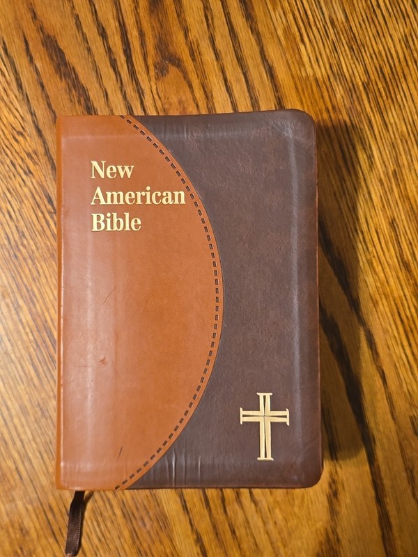 The New American Bible: St. Joseph Edition, Brown Duotone, Travel Size 2011 EUC