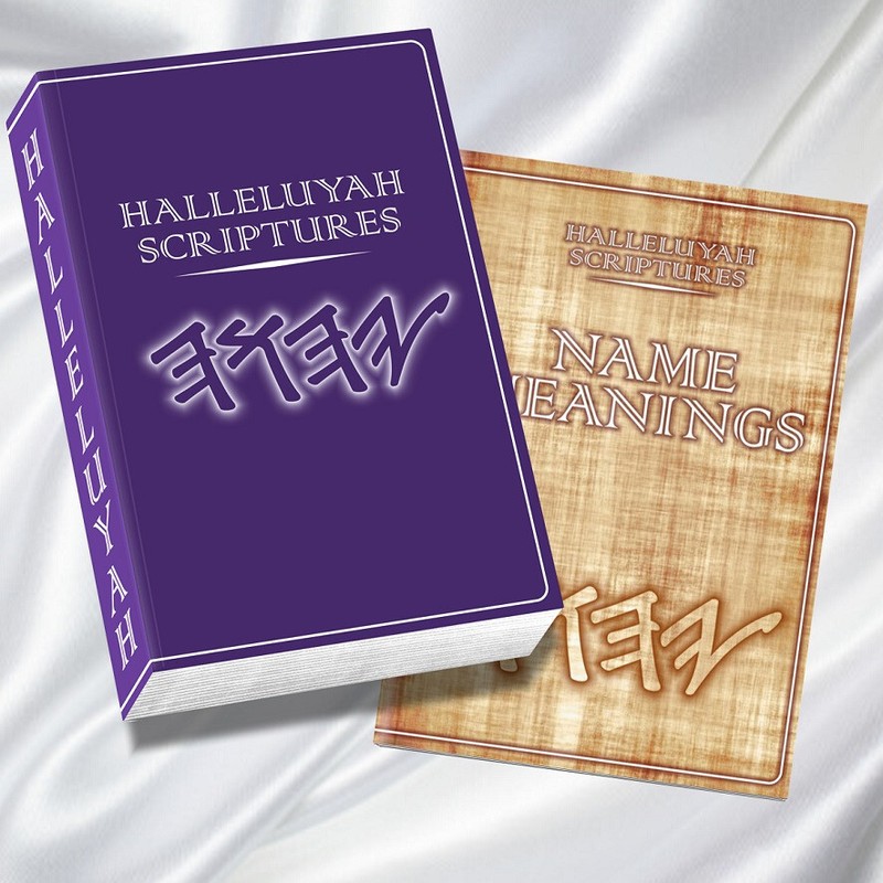 HALLELUYAH SCRIPTURES STANDARD BILE With Free Book & Free Shipping