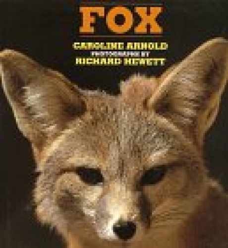 Fox – Hardcover, by Arnold Caroline – Very Good b