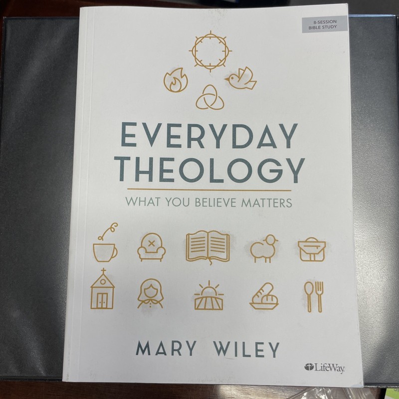 Everyday Theology What You Believe Matters 8 Session Bible Study Mary Wiley