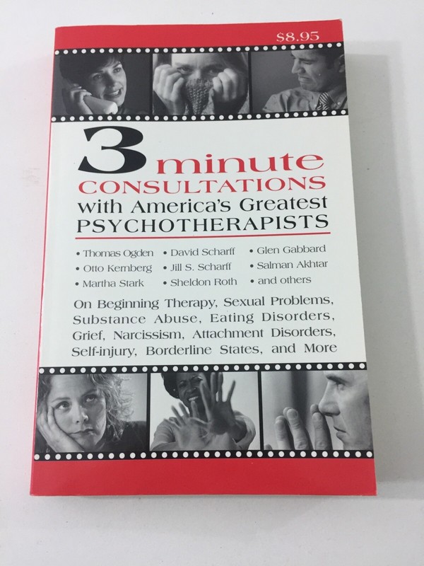 3 Minute Consultations : Psychotherapists – Jason Aronson (2000, Paperback)