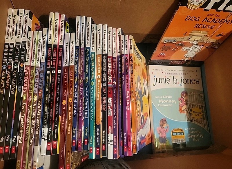 LOT 27 BRANCHES CHAPTER BOOKS: DIARY OF PUG +Owl Diaries +PRESS START HomeSchool