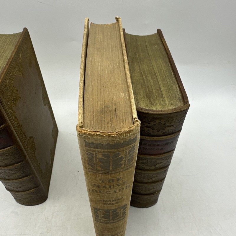 The Mauve Decade Thomas Beer 1926 Alfred A Knopf First Issue (14-15) gallery