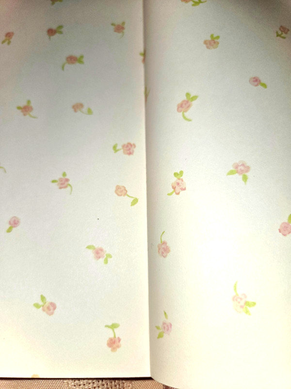 Girl Ballerina Journal Book New, Lined Pages, Ribbon Bookmark 5x7 in., Nice! gallery