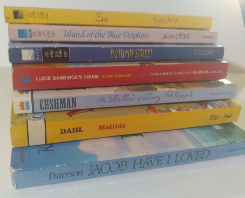 7 Book Lot Girls Interests Scott O'Dell Dahl Lowry Cushman Paterson Zia Jacob gallery