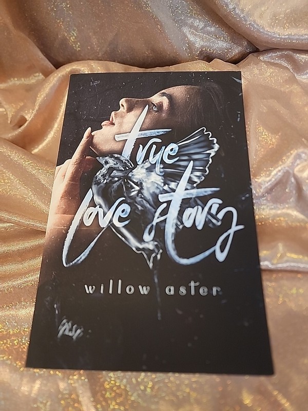 Dark & Disturbed Blackout Romance True Love Story Willow Aster