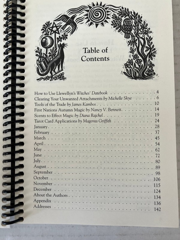 Llewellyn's Witches' Datebook 2009 Wicca Paganism Calendar Spiral Bound PB gallery