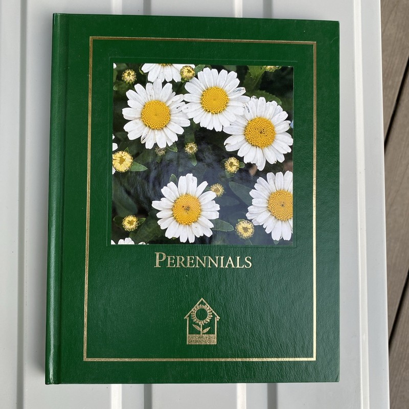 Perennials Edition: First, Maggie Oster