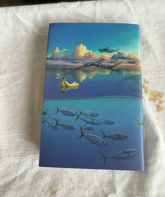 Life of Pi Suntup Artist Edition gallery