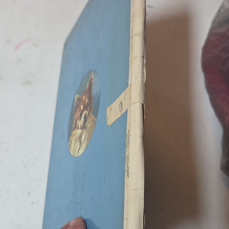 Big Book of Dogs Hardcover 1952 Grosset & Dunlap Illustrated Inscribed gallery