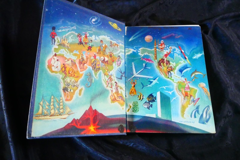 FULL SET - New Wonder World Encyclopedias, Vol 1-11 (1958) Leather Bound gallery