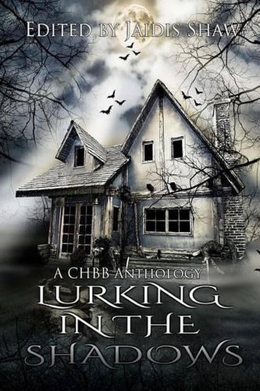 Lurking in the Shadows by E.M. Fitch (English) Paperback Book