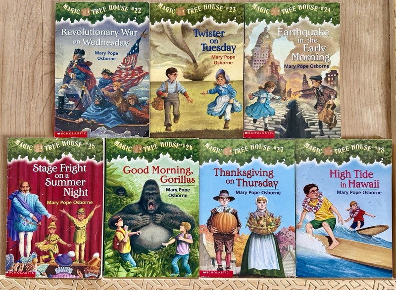 Magic Tree House Complete Set 1-28 Original Book Lot Chapter Mary Pope Osborne gallery