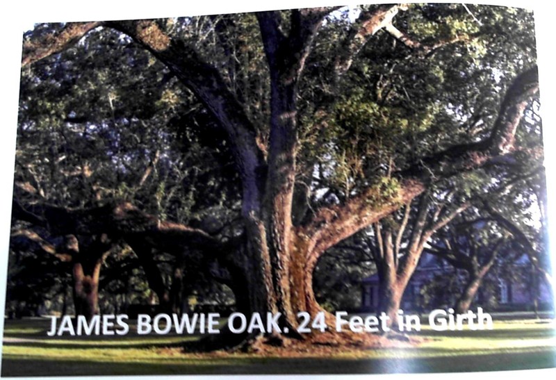 2 in 1 Books on Jim Bowie Edwin Forrest Knife & Acadia Plantation Bowie's Home gallery
