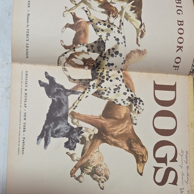 Big Book of Dogs Hardcover 1952 Grosset & Dunlap Illustrated Inscribed gallery