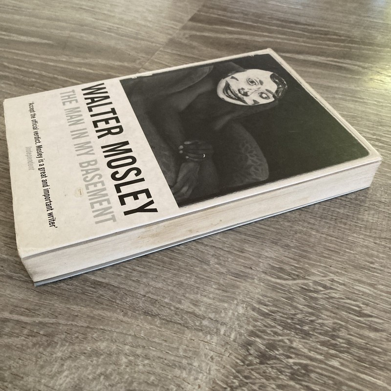The Man in My Basement by Walter Mosley 2004 UK Serpentstail Printed In Italy gallery