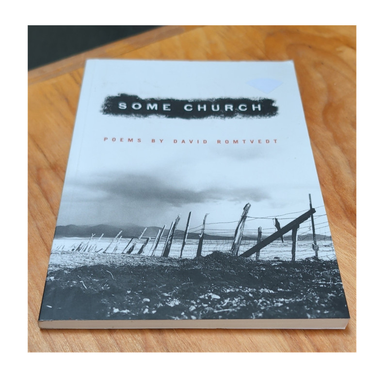 Some Church by David Romvedt, Milkweed Editions, Poetry 2005