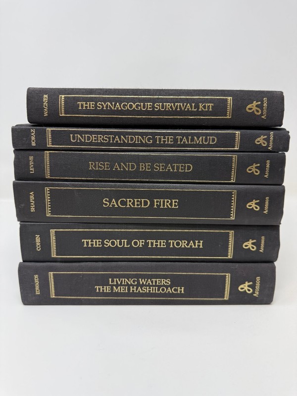 Judaica Book Set of 6 Jason Aronson Inc. Synagogue Talmud Torah Jewish Worship