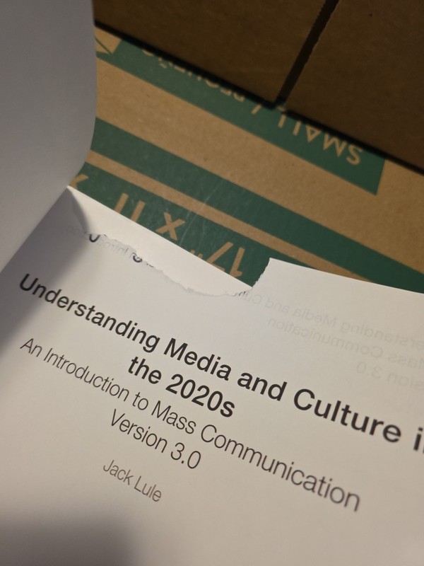 Understanding Media and Culture in the 2020s: An Introduction to Mass Commun... gallery