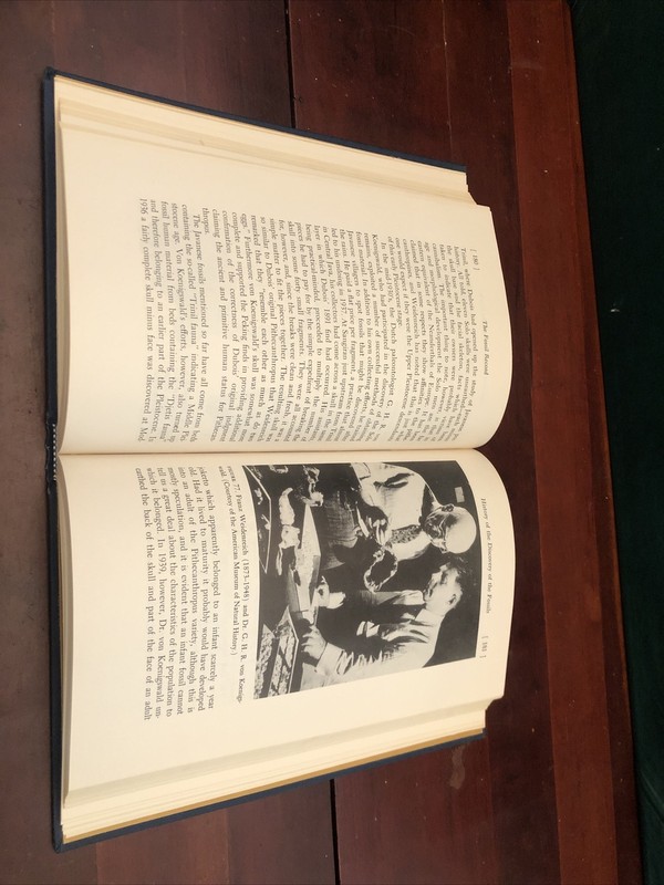 ￼”Man's Evolution An Introduction to Physical Anthropology” Brace & Montagu 1966 gallery