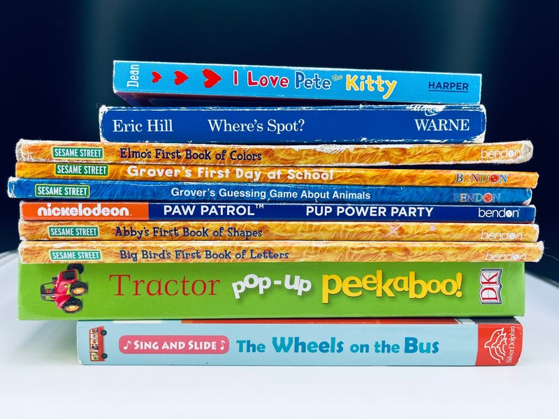 Lot of 10 Children’s Baby Toddler Board Picture Books Kids Daycare Family VIDEO