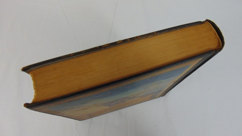 The Mysterious Island Jules Verne Book, Scribner's, 1918 / 30 Hard cover Book gallery