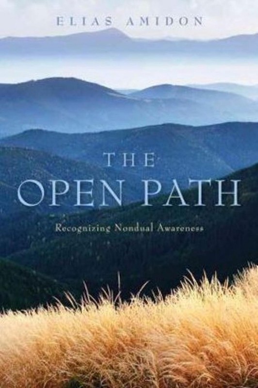 Open Path: Recognizing Nondual Awareness by Elias Amidon (English) Paperback Boo